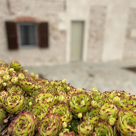 Gæstehus Cascina Mabette Farigliano