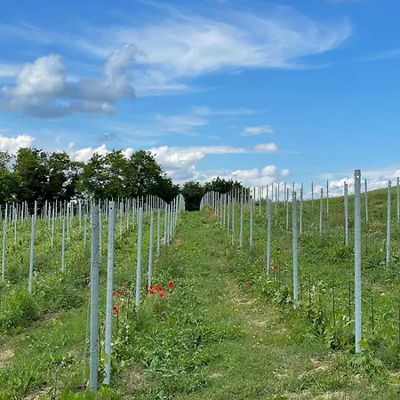 Cascina Mabette * Farigliano